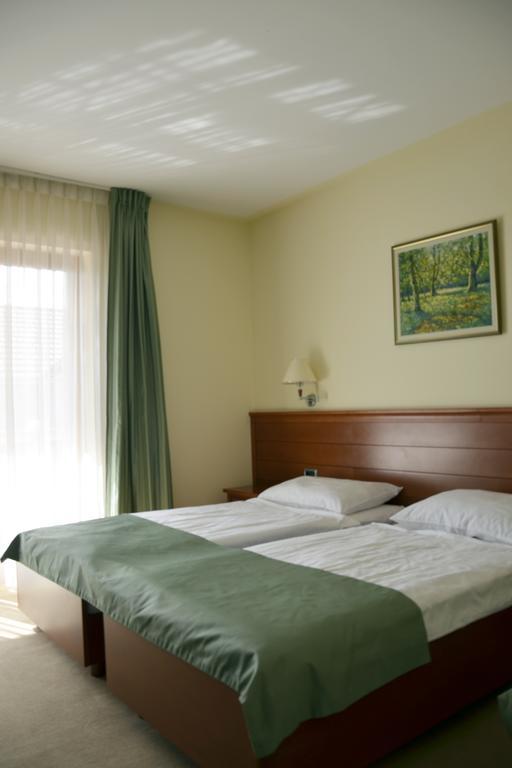 Hotel Mladimir Daruvar Room photo